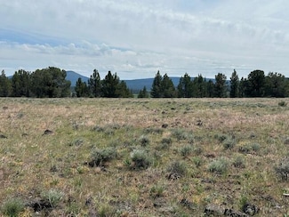 0 Rim Dr Unit 220203110, Chiloquin, OR 97639