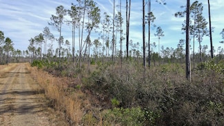 Lot 49 Circle Block Loop, Perry, FL 32348