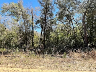 0 Walker Ave, Interlachen, FL 32148
