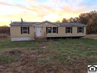 12301 E 264th St, Freeman, MO 64746