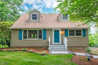 8 Old Township Rd, Flanders, NJ 07836