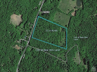 0 Scribner Hollow Rd Unit 153394, Hunter, NY 12442