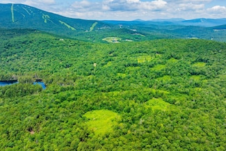 585 Pleasant Valley Rd, Jamaica, VT 05343