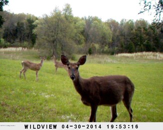 1054 Howevalley Rd, Cecilia, KY 42724