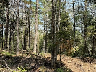 Lot 3 Nh Route 4a, Grafton, NH 03240