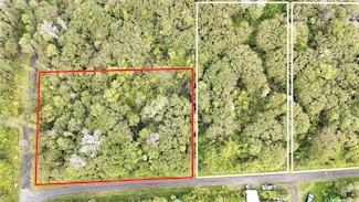 11-1733 Punawai Ave, Mountain View, HI 96778