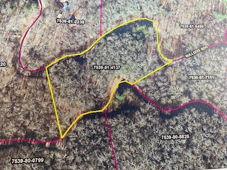 Lot 67 Mountain Forest Estate Rd, Sylva, NC 28779