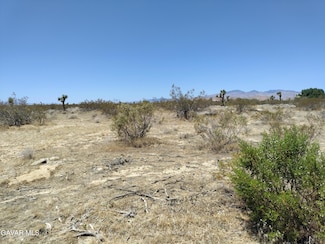 0 Vacant Land Apn 345-221-03-00-4 Unit 25003698, Rosamond, CA 93560