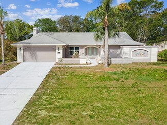 5411 Joyner Ave, Spring Hill, FL 34608