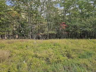 0 Holly Ln Unit RTC3045534, Spencer, TN 38585