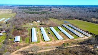 2550 County Road 4293, Tenaha, TX 75974