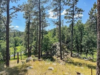 0 Three Meadows Rd, East Custer, SD 57751