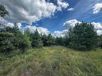 40 AC Buttercup Ave E Acres, Arkdale, WI 54613