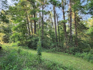 0 Governor Latham Cir, Point Blank, TX 77364