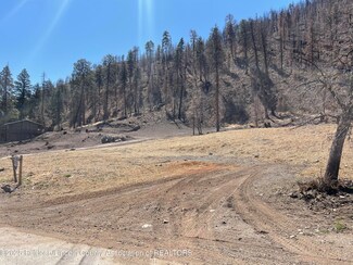 103 Pinky Rd, Ruidoso, NM 88345