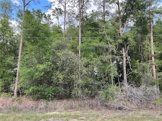 8479 N Wallingford Ave, Citrus Springs, FL 34434