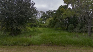 0 Laurel Ct Unit MFRTB8442263, Ocala, FL 34480