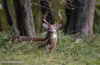 10 George Dr Dr, Blakeslee, PA 18610