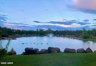 9576 Sierra Springs Dr, Pinetop, AZ 85935