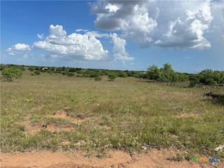 1068 County Road 329, Floresville, TX 78114