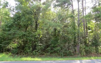 1095 Wild Rose Ct, Manning, SC 29102