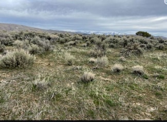 0 Drum St Unit 3625807, Elko, NV 89801