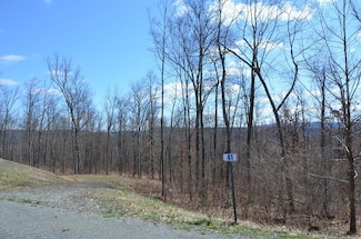 Lot 41 Hemlock Hill Rd, Towanda Township, PA 18848