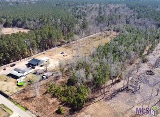 6.52 Acres Horseshoe Rd, Independence, LA 70443