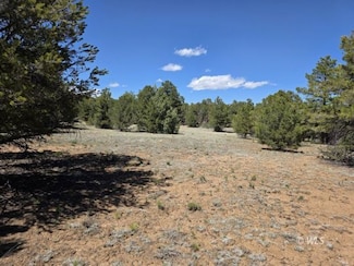 TBD 7th Trail, Cotopaxi, CO 81223