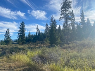 Lot 14 Bighorn, Plains, MT 59859