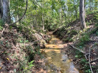 0 County Road 54, Clopton, AL 36317