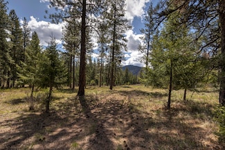 NHN Mountain Vista Ln, Alberton, MT 59820