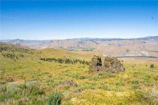 0 LOT 19 Long Draw Rd, Orondo, WA 98843