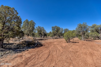 000 Aubri Ln, Show Low, AZ 85901