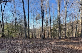 0 Rebekah Ridge Unit 10440303, Talking Rock, GA 30175