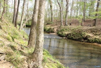 2.7 Acres County Road 518, Moulton, AL 35650