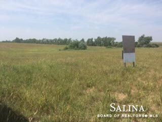 0 Autumn Leaf Ln Unit 15780, Bennington, KS 67422
