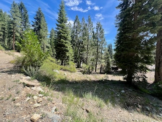 66 Eureka Trail, Johnsville, CA 96103