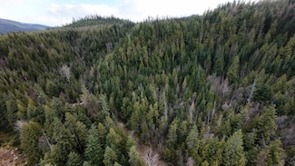 7301 International Selkirk Loop, Ione, WA 99139