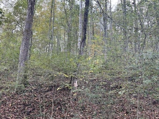 31557 French Rd, Londonderry, OH 45647