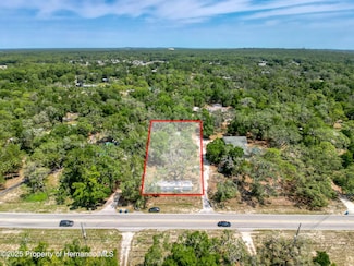 16165 Wiscon Rd, Brooksville, FL 34601