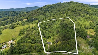 311 Gid Flynn Rd, Marshall, NC 28753
