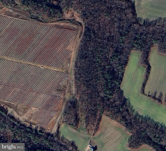 0 Muddy Gut Rd Unit VAES2000718, South, VA 22454