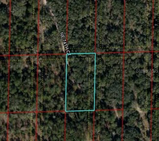 0 Bronson Fl Unit MFRV4943622, Bronson, FL 32621