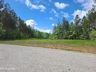 Lot 38 Stonecipher Ct, Sunbright, TN 37872