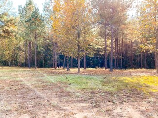 15201 Jackson Trace Rd, Coker, AL 35452