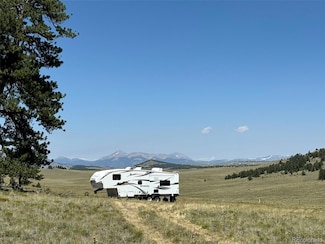 3454 Fitzsimmons Rd, Hartsel, CO 80449