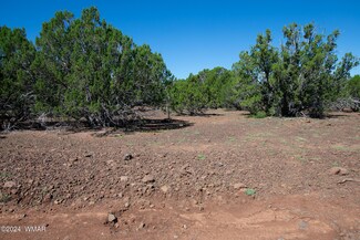 1270 Pierson Blvd, Show Low, AZ 85901