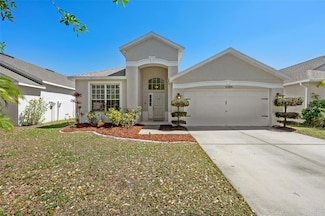 11009 Silver Dancer Dr, Riverview, FL 33579