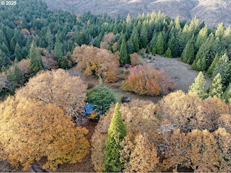1480 Bridge Ln, Wolf Creek, OR 97497